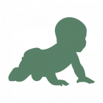 Die Entwicklungsphasen des Kindes